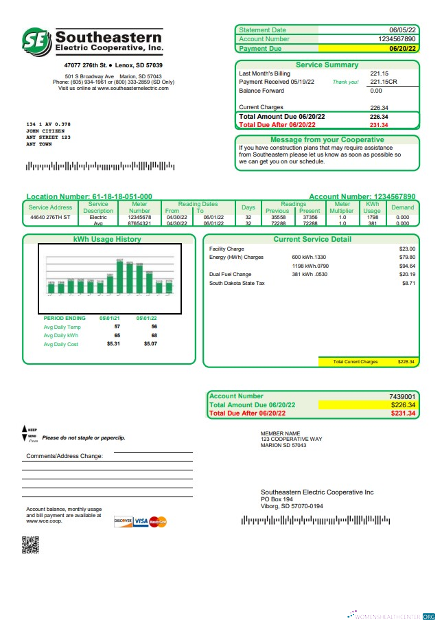 download USA South Dakota Southeastern Electric utility bill template in Word and PDF format PDF template